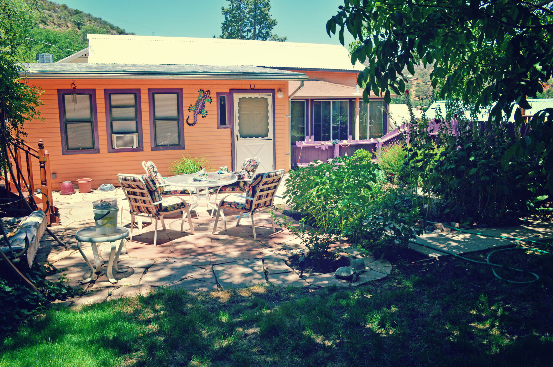 Edmonds garden
